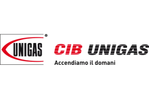 Cib Unigas запчасти для горелок